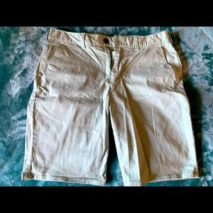 Pacsun Spring Shorts (Mint color)